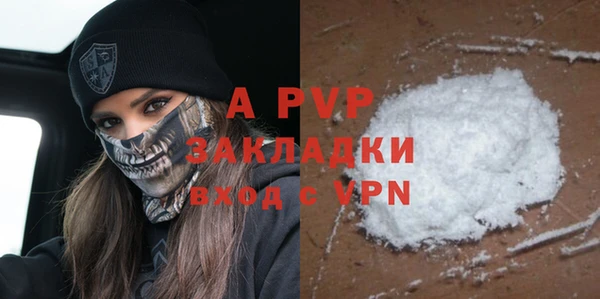 СК Алексин