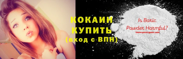 СК Алексин