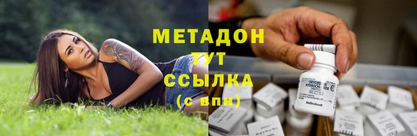 СК Алексин