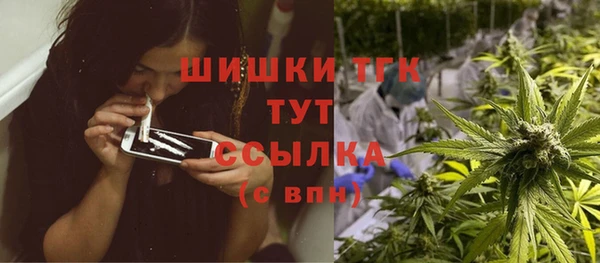 СК Алексин
