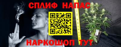 индика Заводоуковск