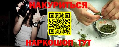 индика Заводоуковск