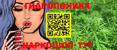 индика Заводоуковск
