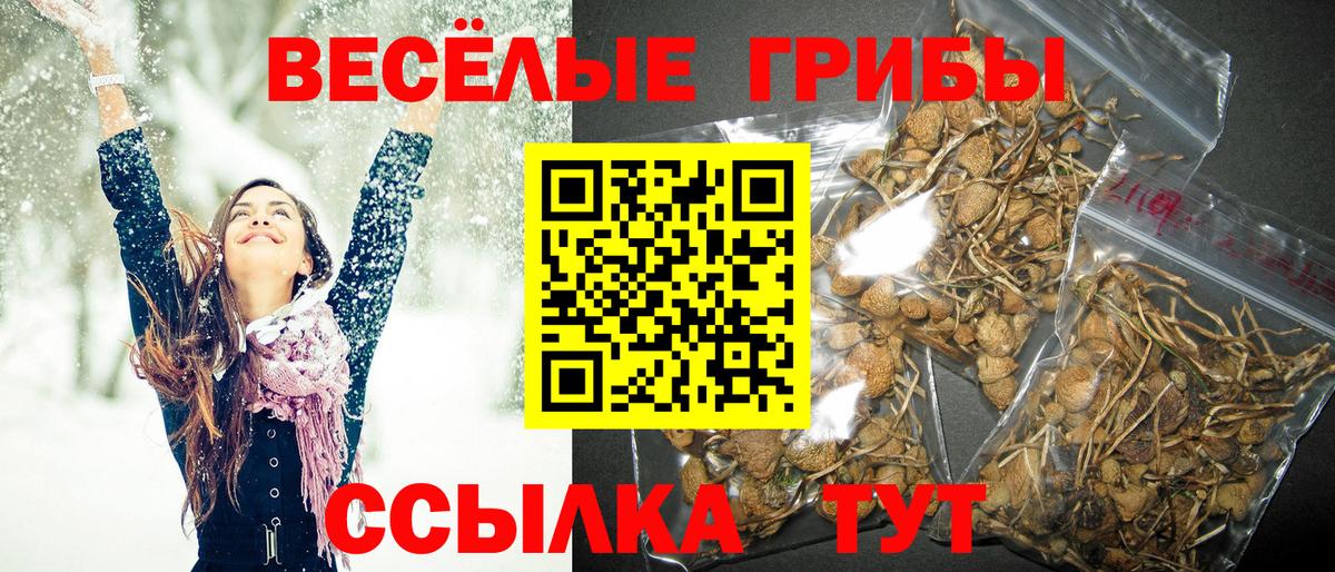 Псилоцибиновые грибы MAGIC MUSHROOMS Джанкой