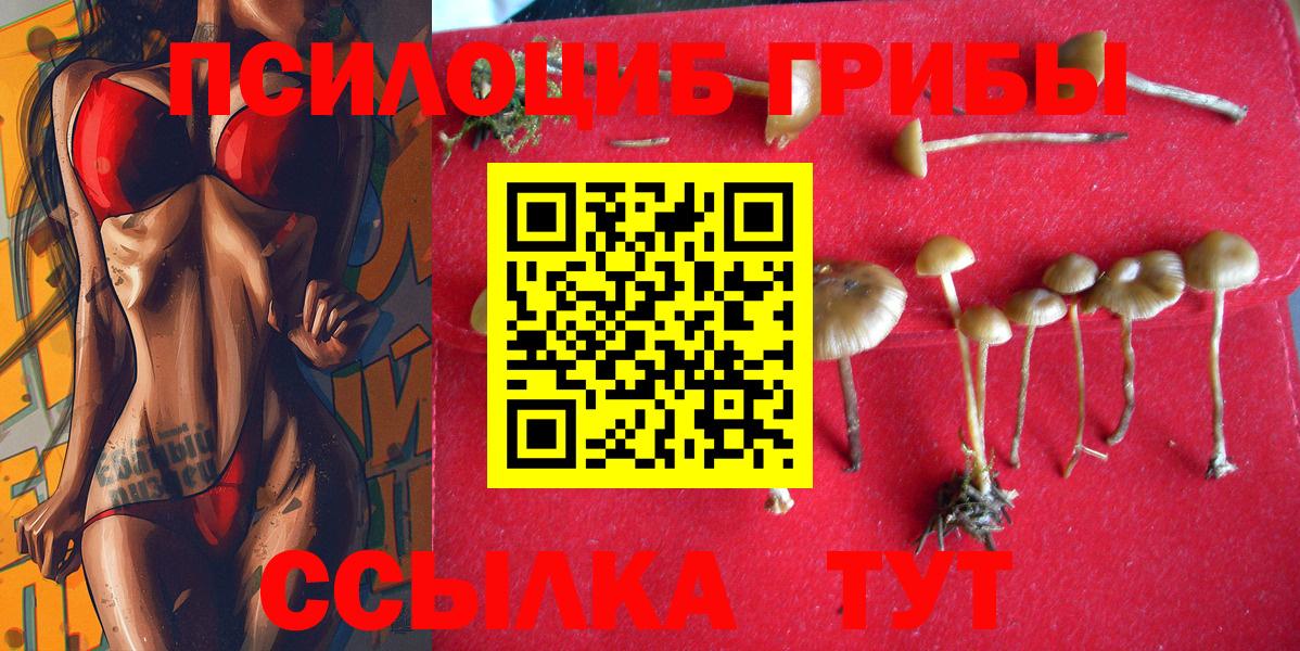 Джанкой  Галлюциногенные грибы GOLDEN TEACHER  Вход с VPN 